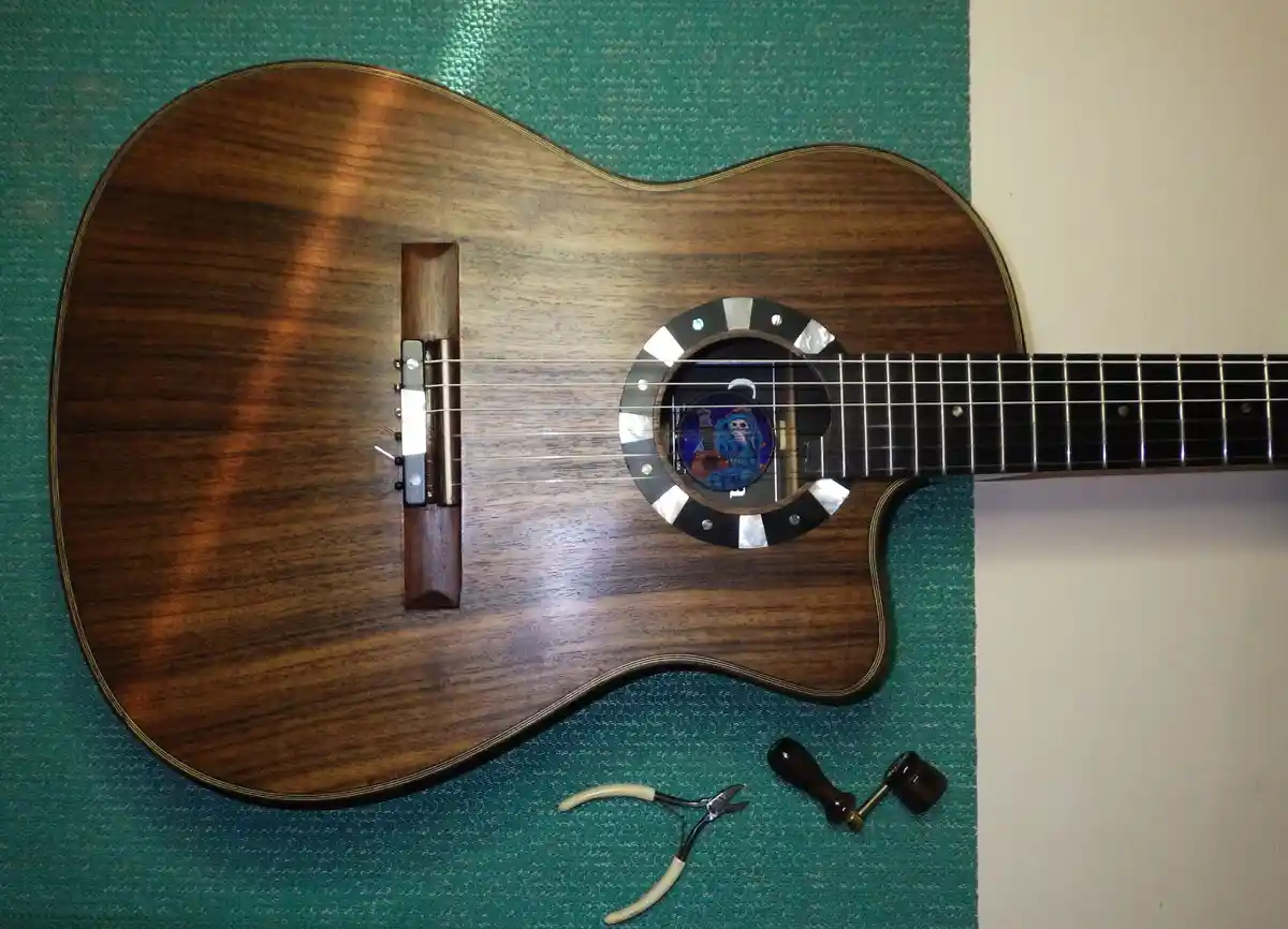 A close-up photo of a dark wood acoustic guitar resting on a green textured surface, with a decorative skull inlay visible…