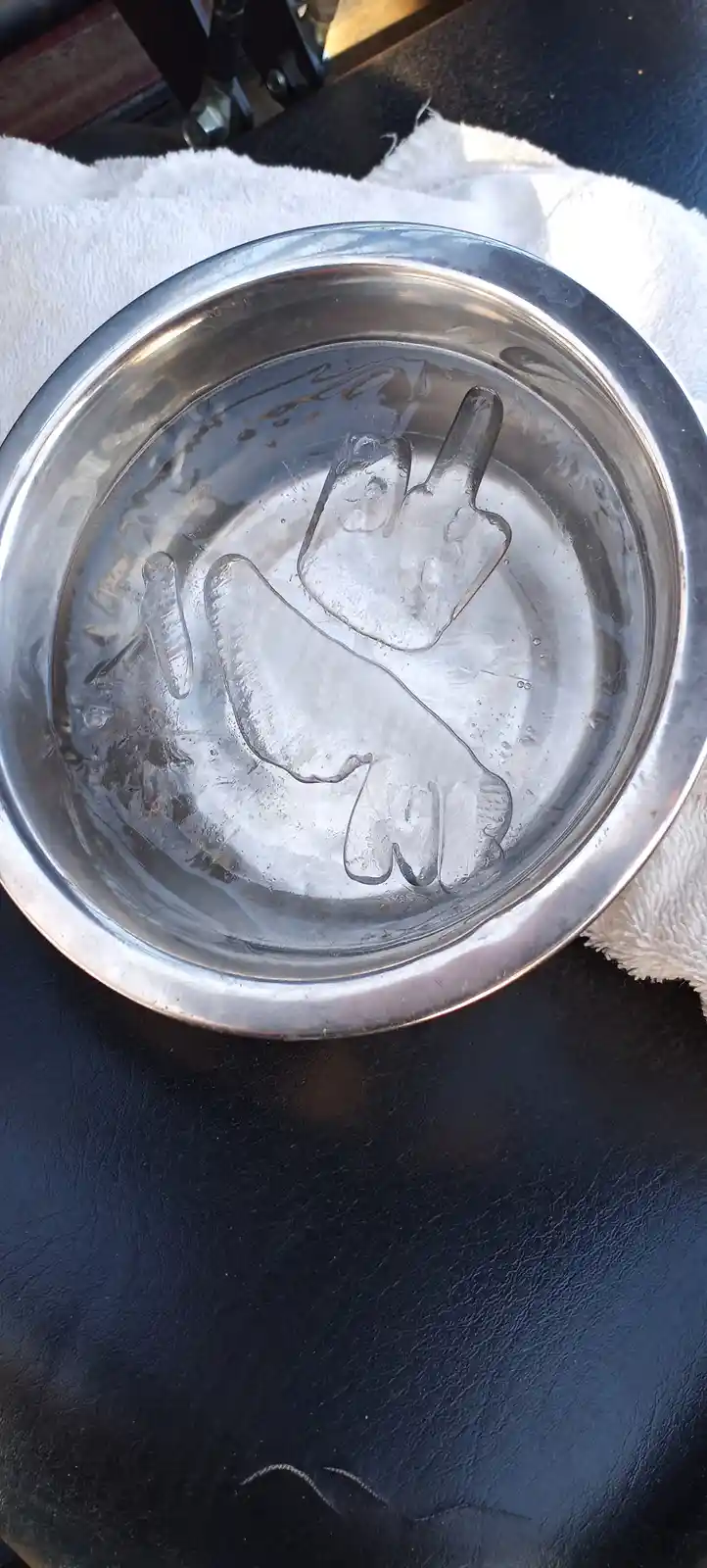 A top-down photo shows a clear ice cube shaped like a middle finger inside a metal bowl, resting on a white towel over a…