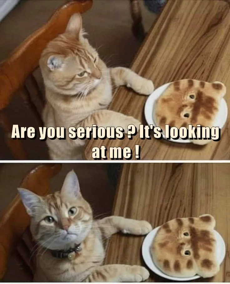 A two-panel image shows a ginger cat sitting at a wooden table, looking at a pancake shaped like a cat's face on a white…