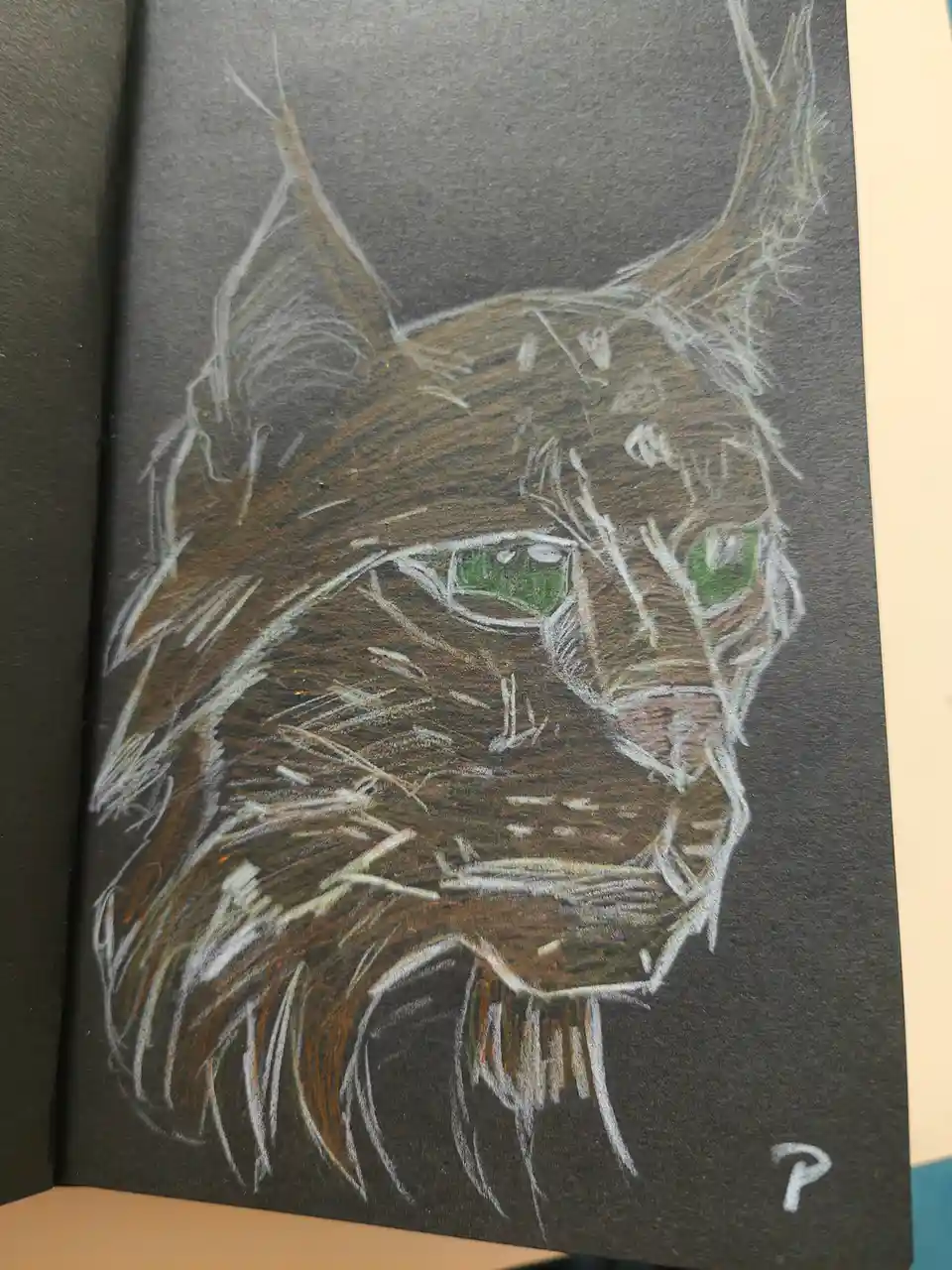 A colored pencil drawing on dark paper shows a close-up of a lynx's face with green eyes, pointed ears, and tufted ears…