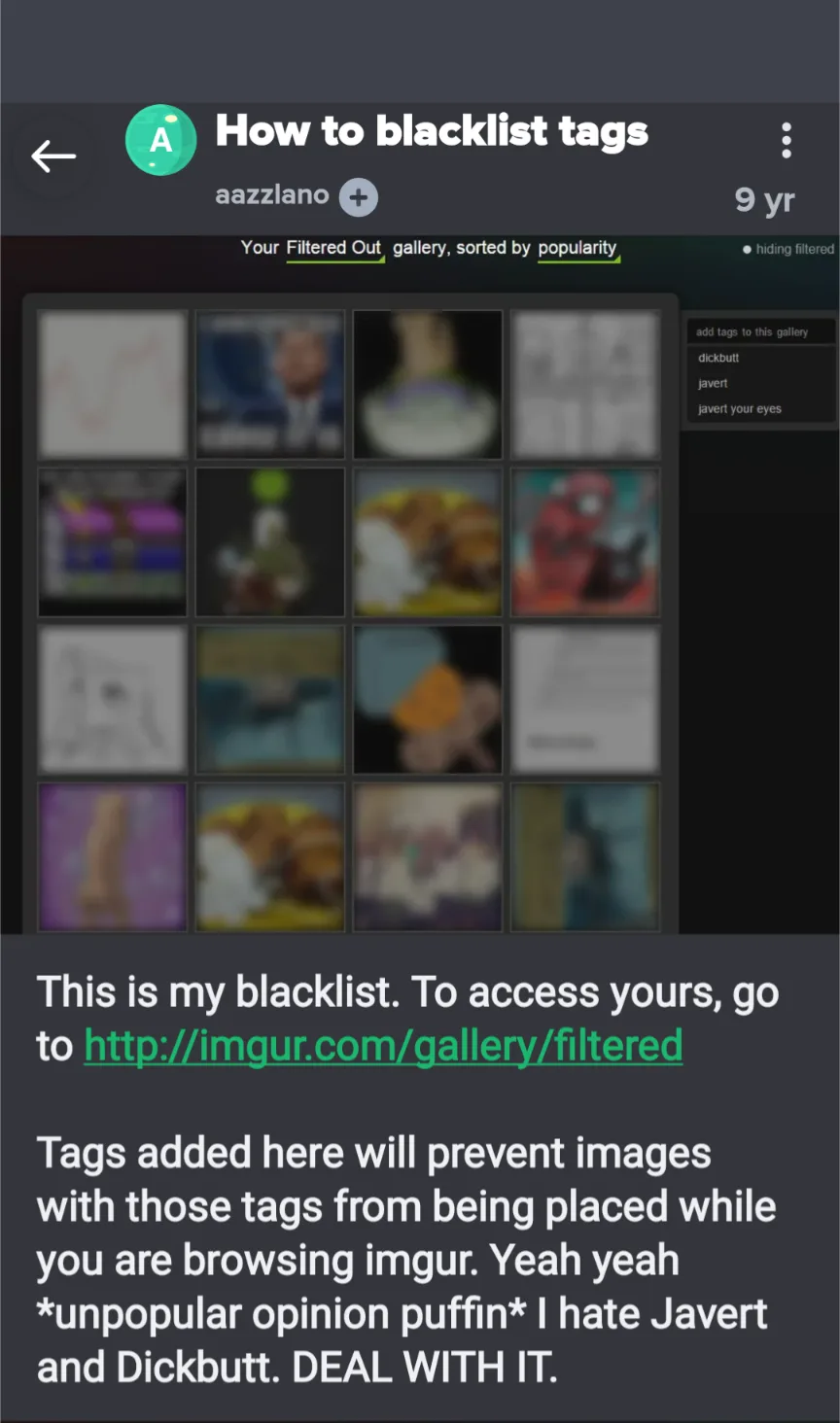 A screenshot of an Imgur user's 'Filtered Out' gallery showing blurred thumbnails, with a text overlay listing blacklisted…