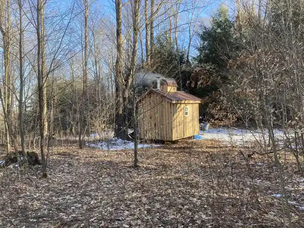 A small wooden sauna cabin sits in a snowy, leaf-strewn forest with bare trees under a clear blue sky, emitting smoke from…