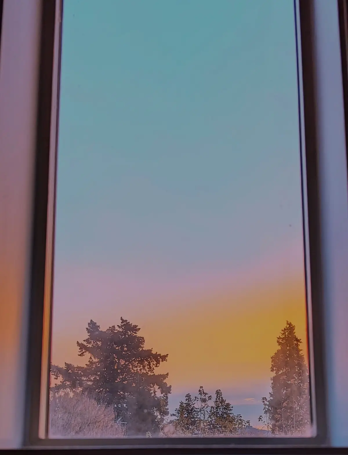 Chilly Mornings and Stunning Skies in the Pacific Northwest