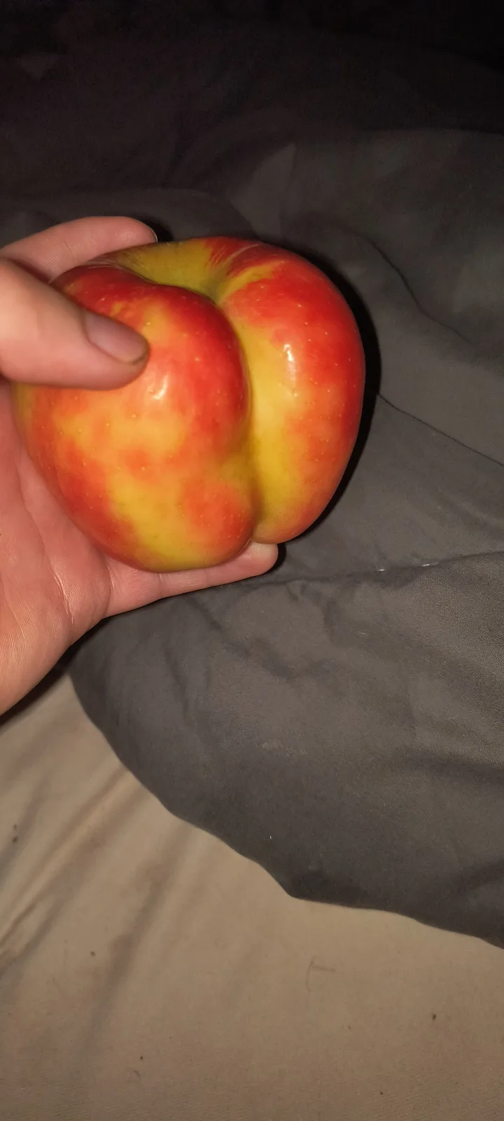 A hand holds a red and yellow apple that has a distinct, unnatural bulge in its center, making it look like it has a…