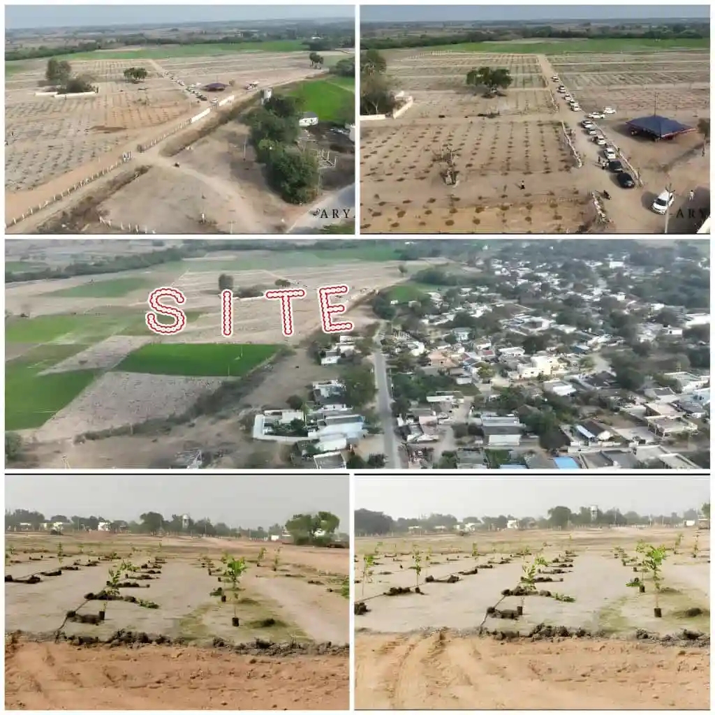 Exploring Farm Plots in Jangaon, East Hyderabad