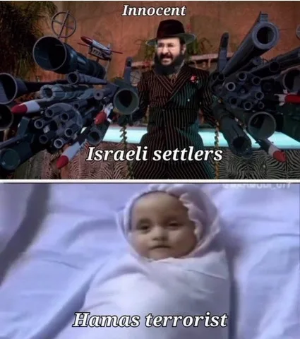 The image is a two-panel meme. The top panel shows a man with a beard and hat, surrounded by numerous toy guns, labeled…