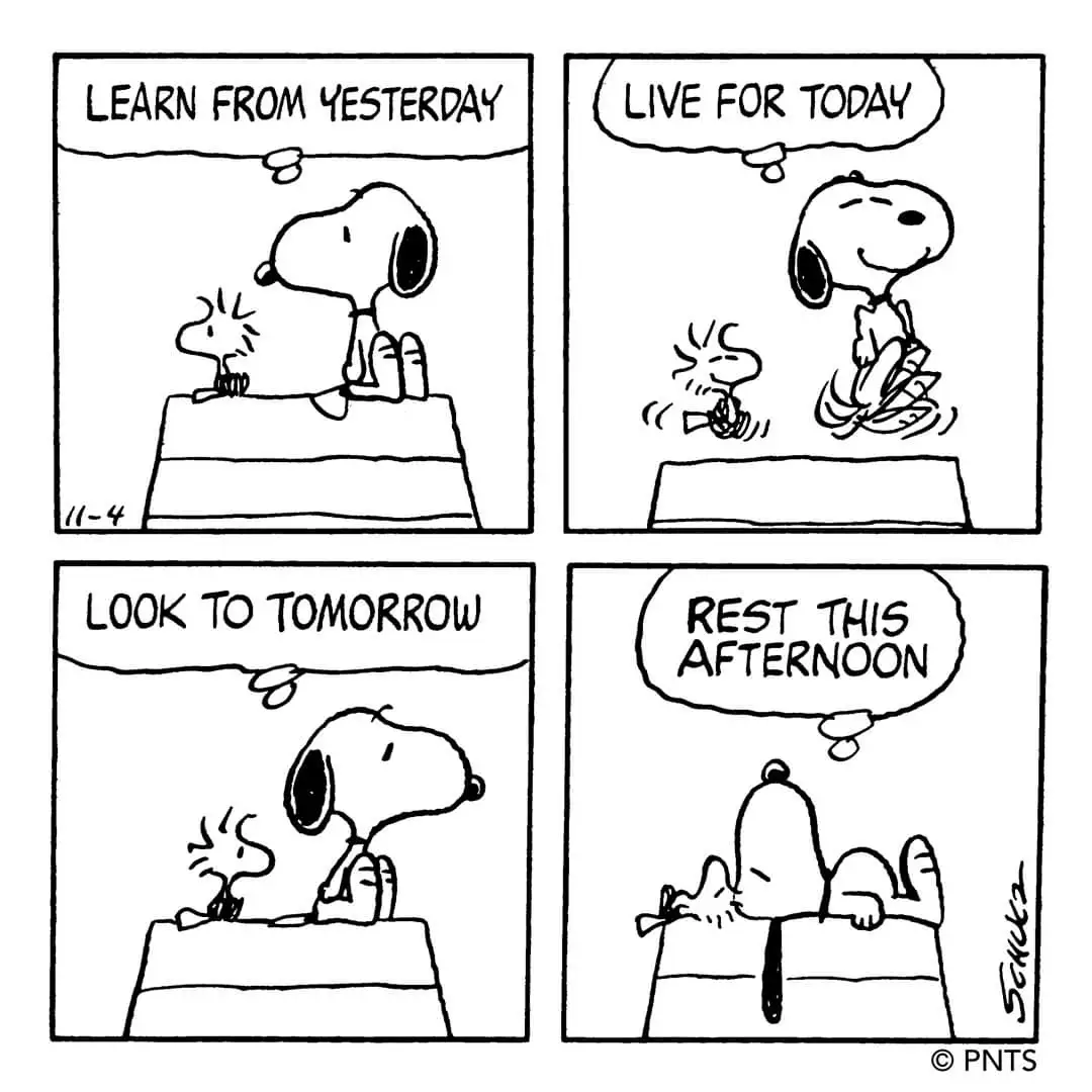A four-panel Peanuts comic strip shows Snoopy giving philosophical advice to Woodstock: 'Learn from yesterday,' 'Live for…