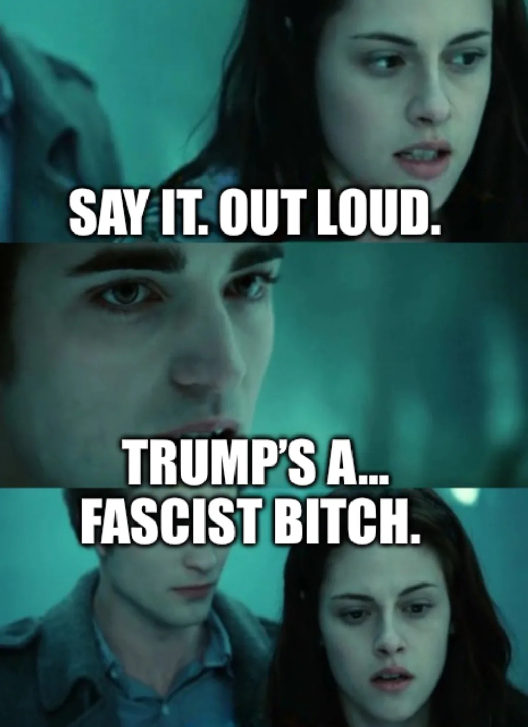 The image is a three-panel meme using scenes from the movie 'Twilight'. The top panel shows a woman with a serious…