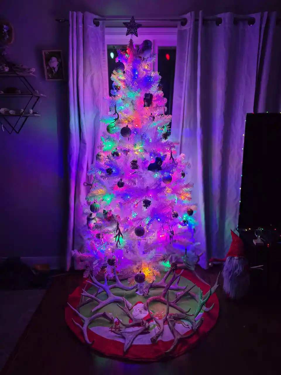 I finally set up my quirky holiday tree today!