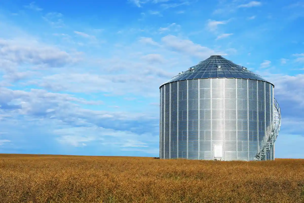 A large, silver, cylindrical metal grain silo stands alone in a vast field of golden, harvested crops under a bright blue…