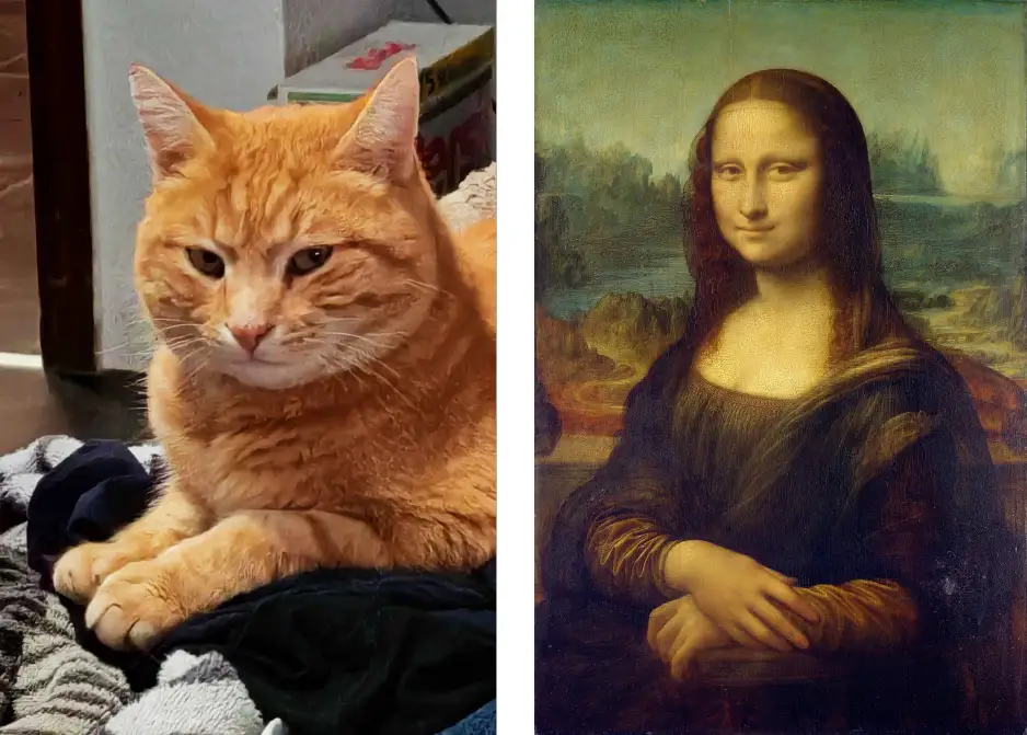 The image is a side-by-side comparison: on the left, an orange tabby cat with a stern, unimpressed expression sits on…
