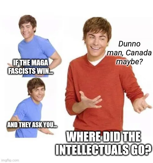 The image features Zac Efron in two poses: one in a blue shirt with text 'IF THE MAGA FASCISTS WIN... AND THEY ASK YOU...'…