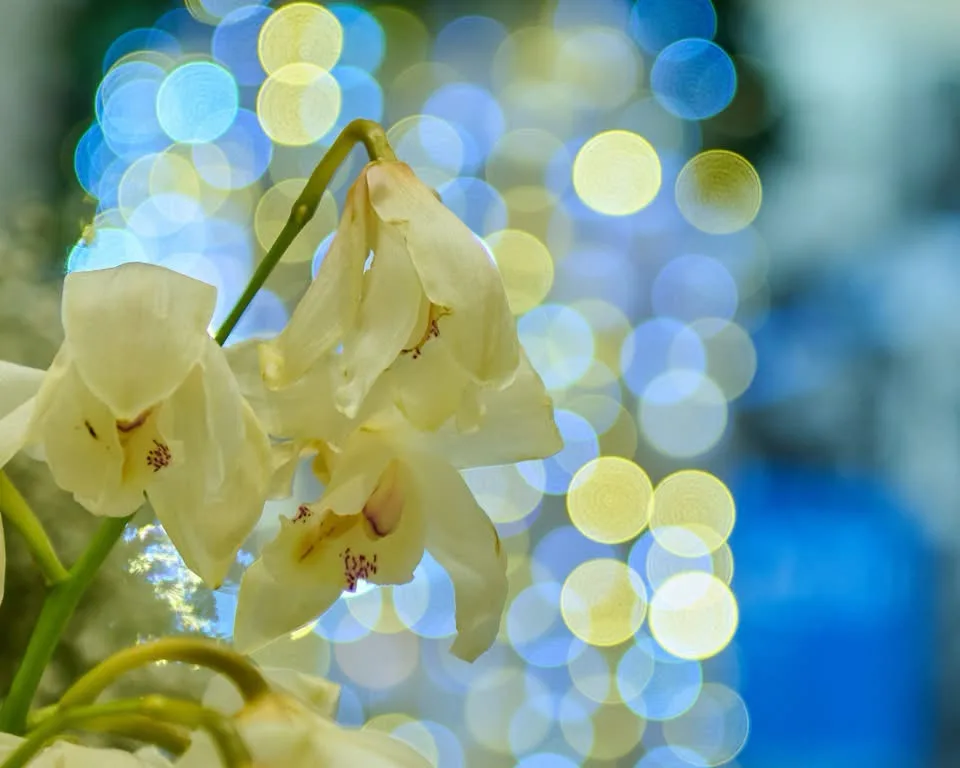 A Beautiful Bouquet of Flowers