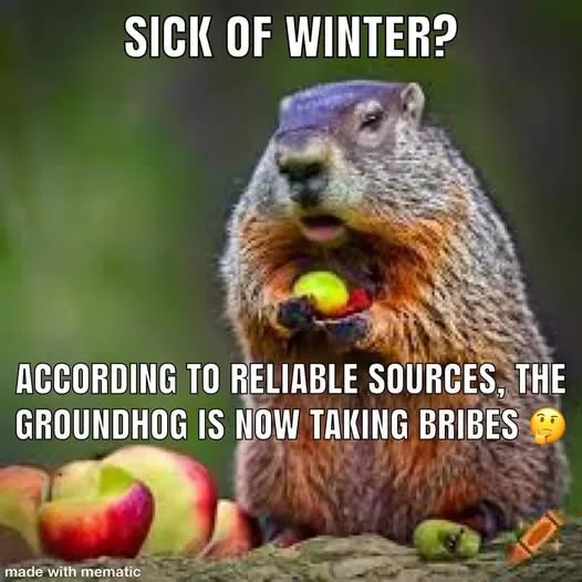 A groundhog is shown holding a small green apple in its paws, surrounded by several other apples on a log. The text overlaid…