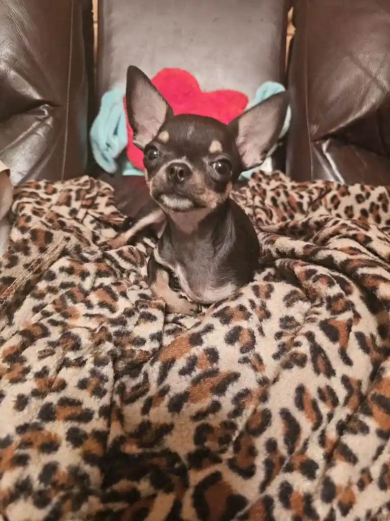 Inara Living Her Best Life