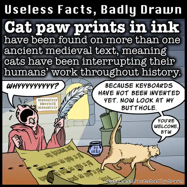Quirky Hump Day Facts Illustrated with Love