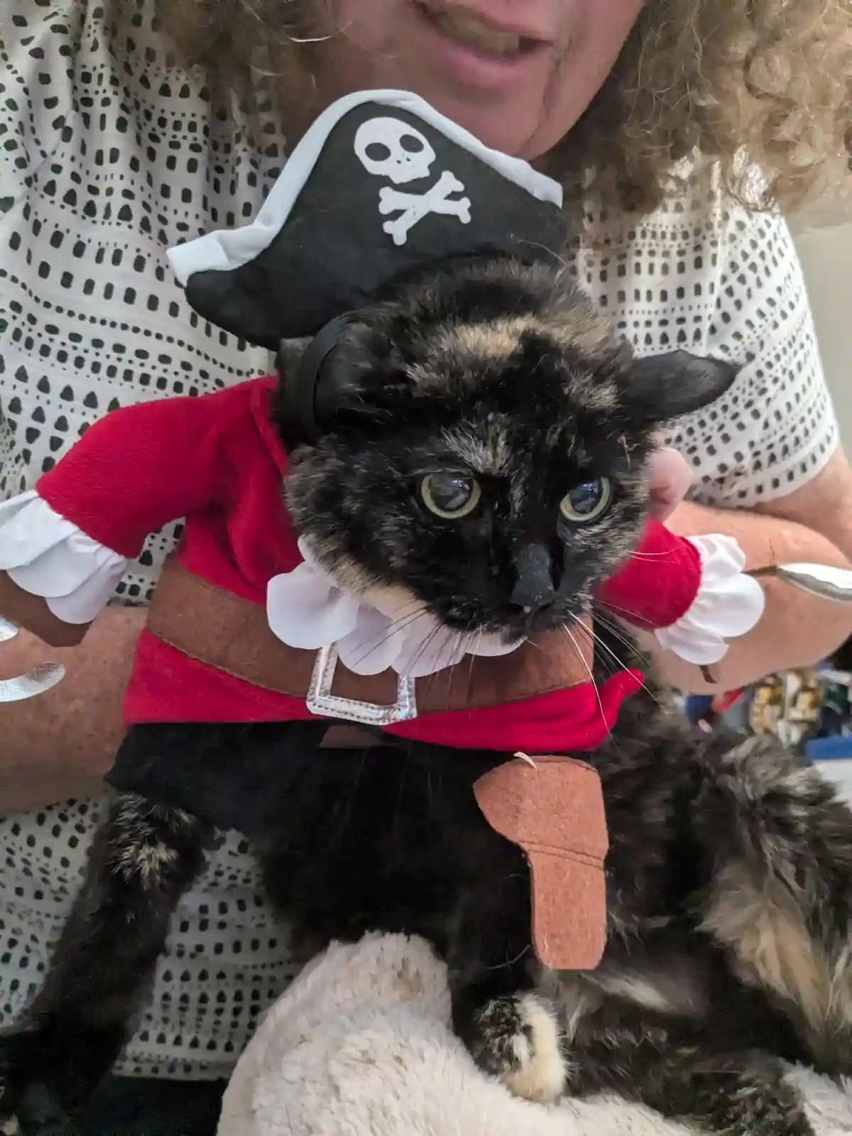 A tortoiseshell cat is dressed in a pirate costume, complete with a black hat featuring a skull and crossbones, a red shirt…
