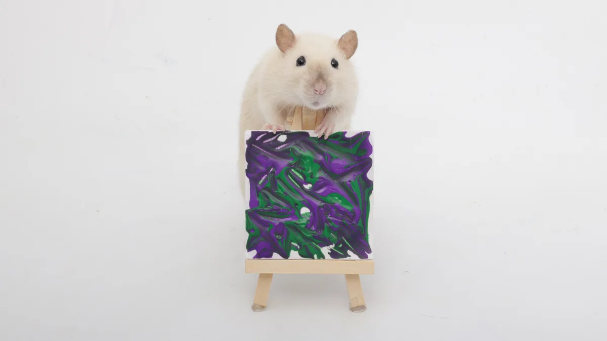 A light-colored rat stands upright behind a miniature wooden easel, its paws resting on a small canvas displaying a swirl of…