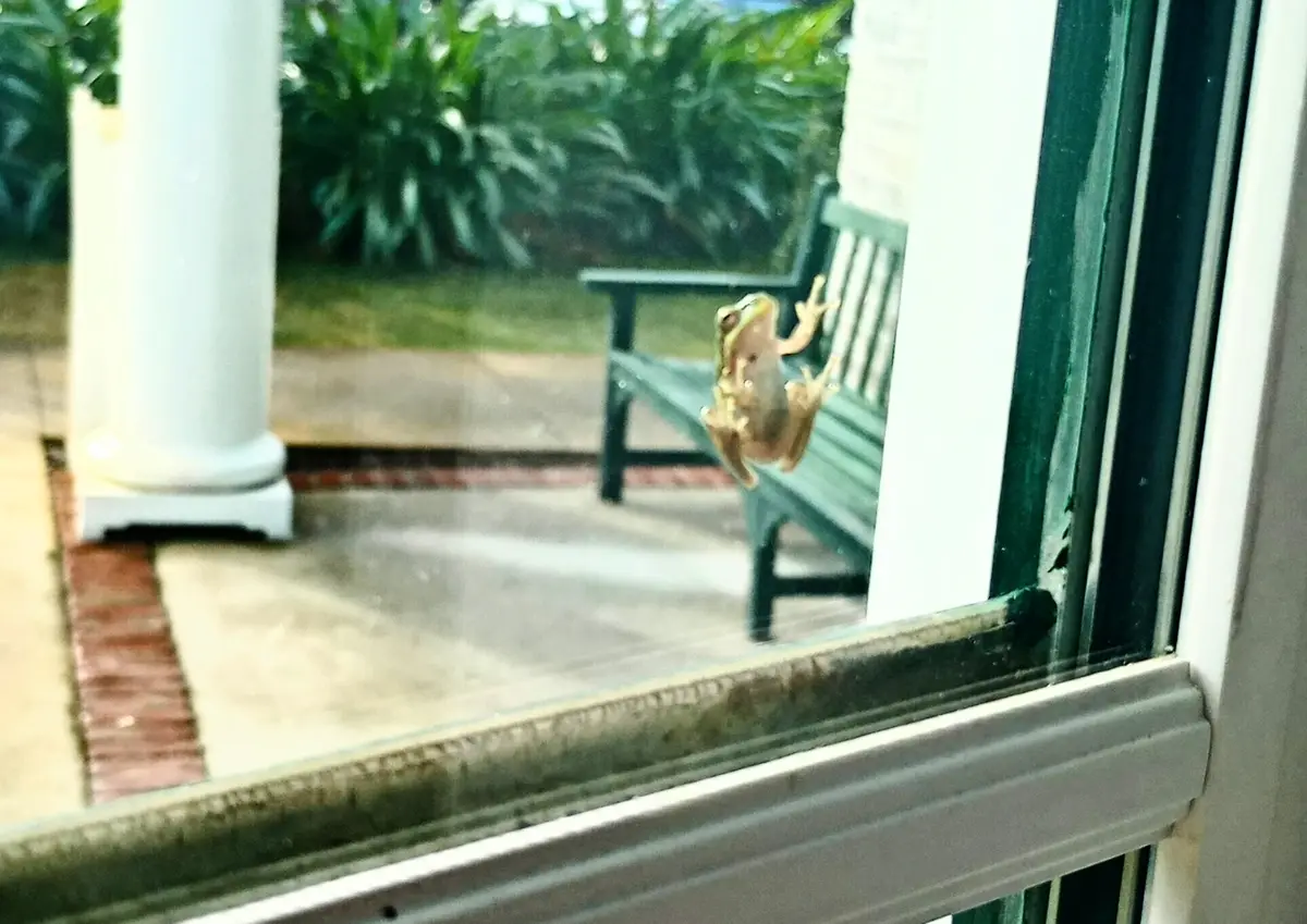 Caught a Glimpse of This Adorable Creature Outside the Gym