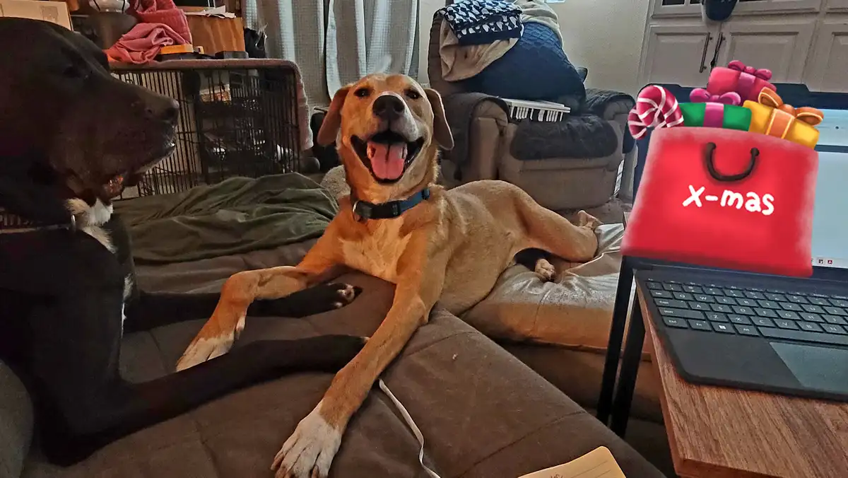 Two dogs are lounging on a brown couch in a cluttered living room; a tan dog with a blue collar smiles happily while a black…
