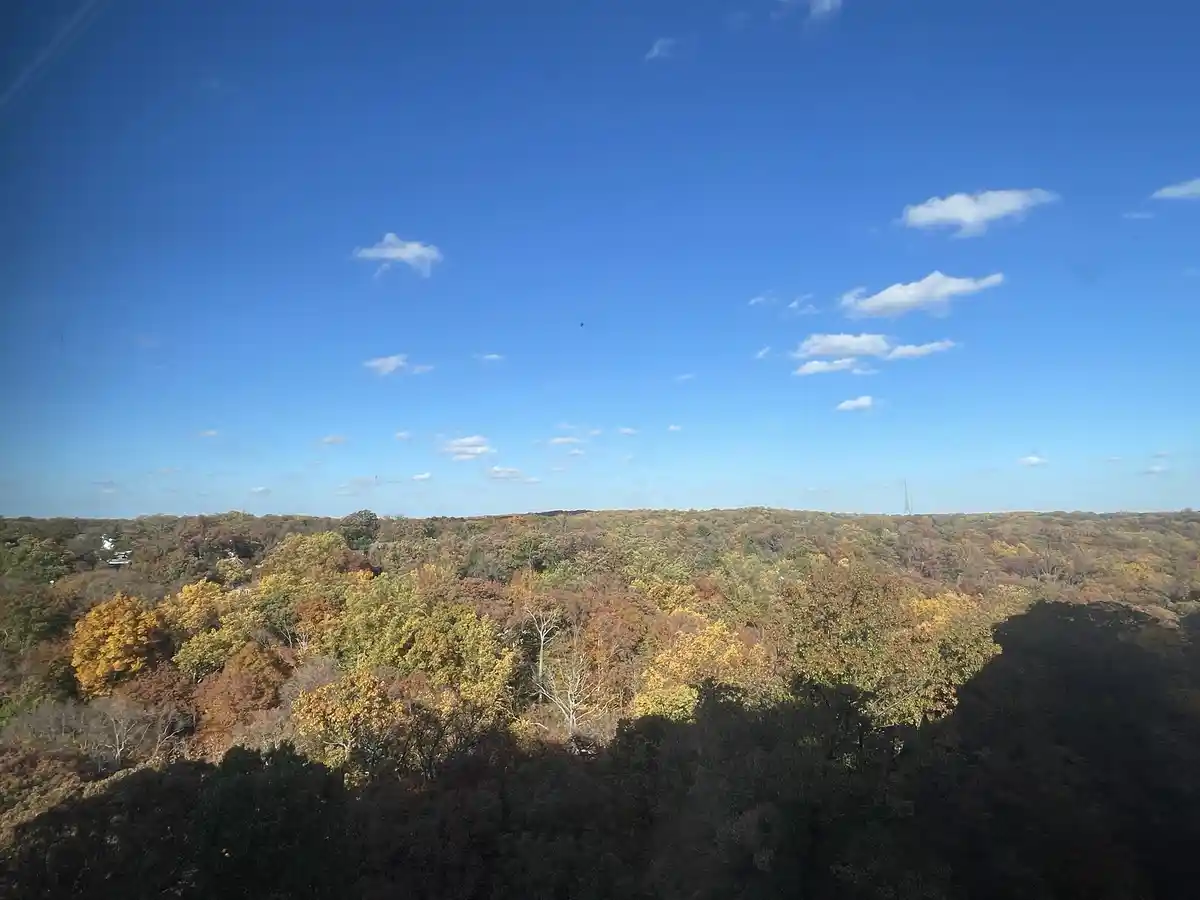 A scenic view of a forest in autumn with trees displaying yellow, orange, and green foliage under a bright blue sky with…