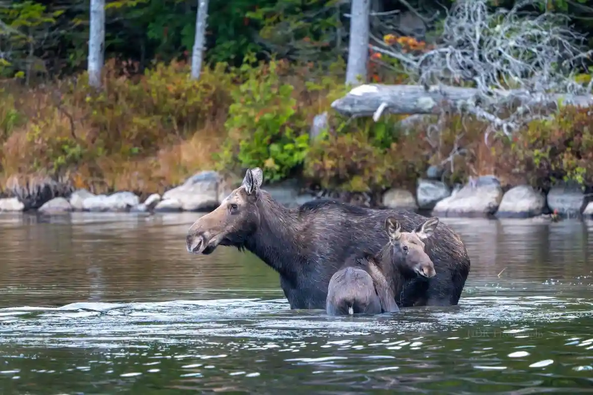 A Heartwarming Moment: Mom and Baby Together