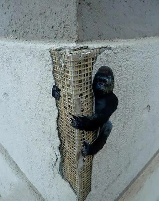 A small black gorilla figurine is visibly stuck in a corner of a concrete wall, appearing to be emerging from a crack where…
