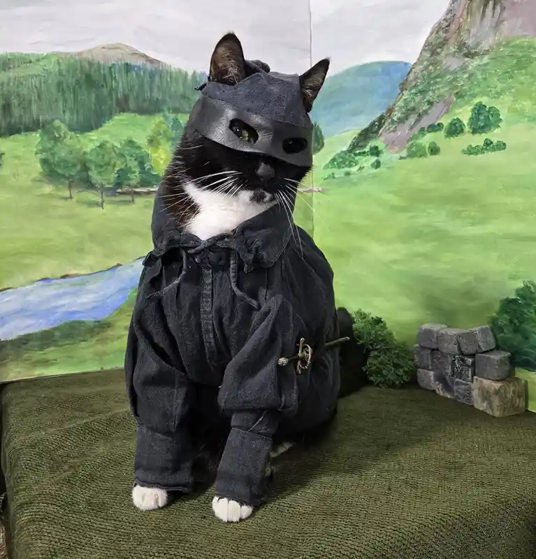Meet the Fearsome Dread Purr-ate Roberts