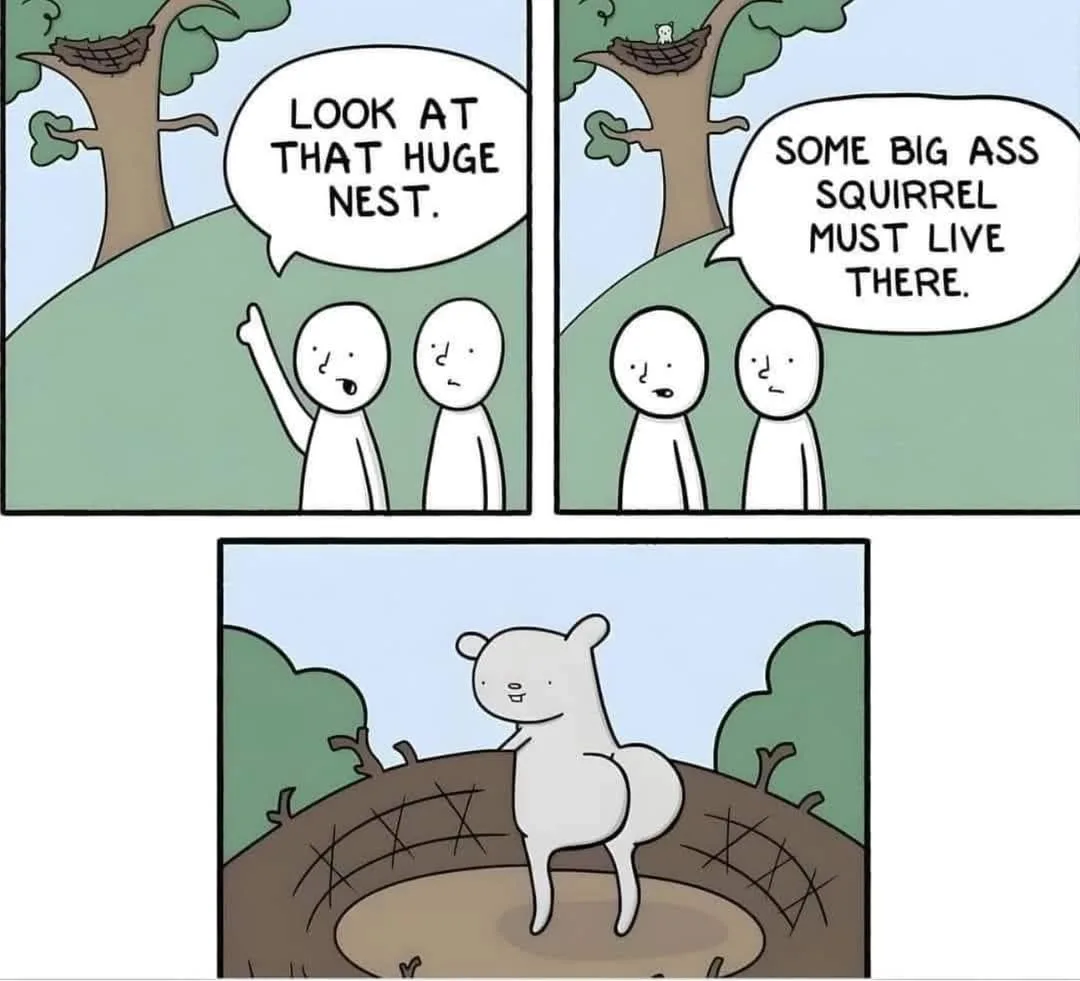 A three-panel comic strip shows two stick-figure humans pointing at a large bird's nest in a tree, with one exclaiming 'LOOK…