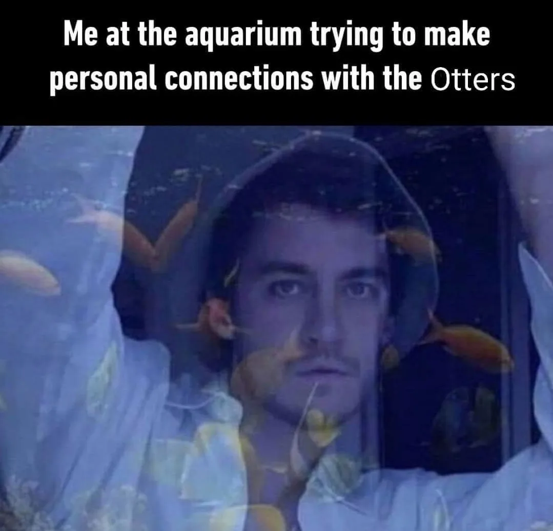A man with a serious, intense expression peers through a glass aquarium wall, with small orange fish swimming around him…