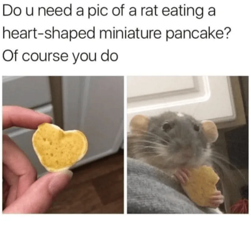 The image is split into two panels. The left panel shows a human hand holding a small, heart-shaped, golden-brown pancake…
