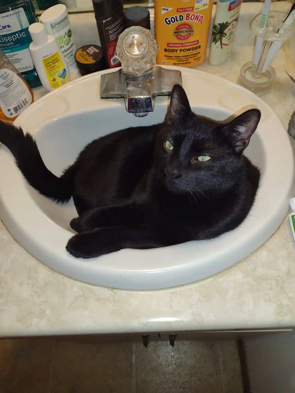 A black cat with green eyes is lounging comfortably inside a white bathroom sink, surrounded by toiletries like Gold Bond…