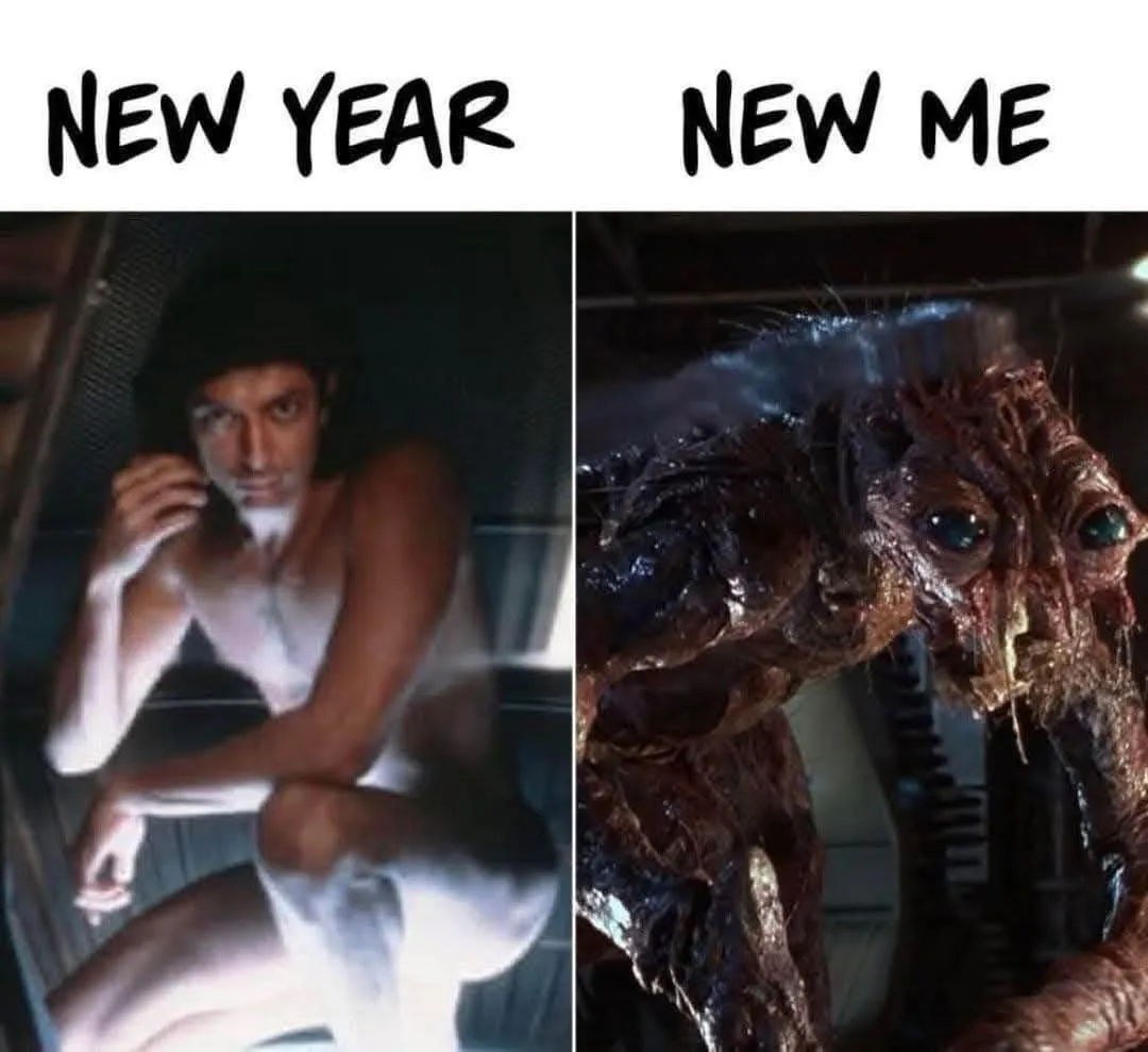 A Treasure Trove of Memes to Brighten Your Day: DK's Collection for Tough Times