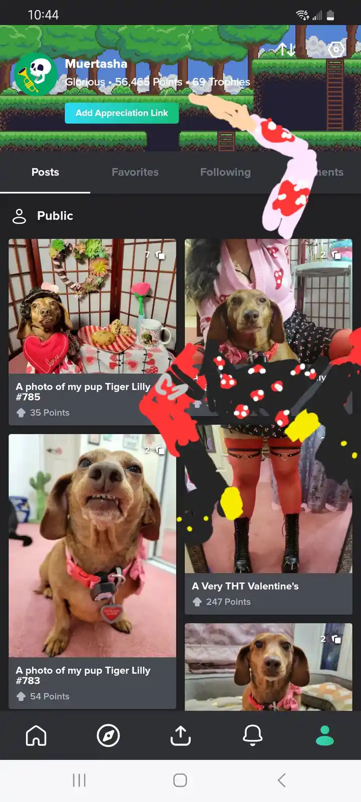 A screenshot of a social media profile page showing multiple photos of a dachshund named Tiger Lilly, with a large…