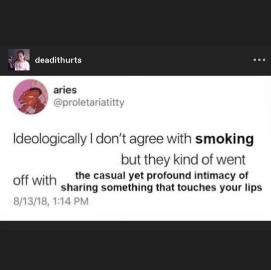 A screenshot of a tweet from user 'aries' (@proletariatitty) dated 8/13/18, 1:14 PM, which reads: 'Ideologically I don't…