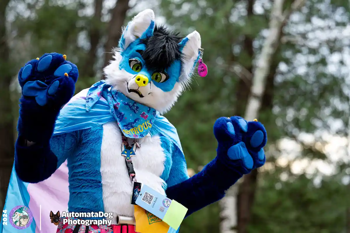 Daily Dose of Furry Photography - Day 456
