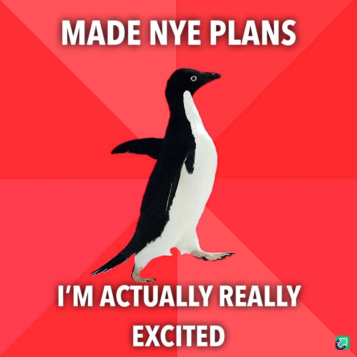 A black-and-white penguin stands against a red background with diagonal stripes. White bold text at the top reads 'MADE NYE…