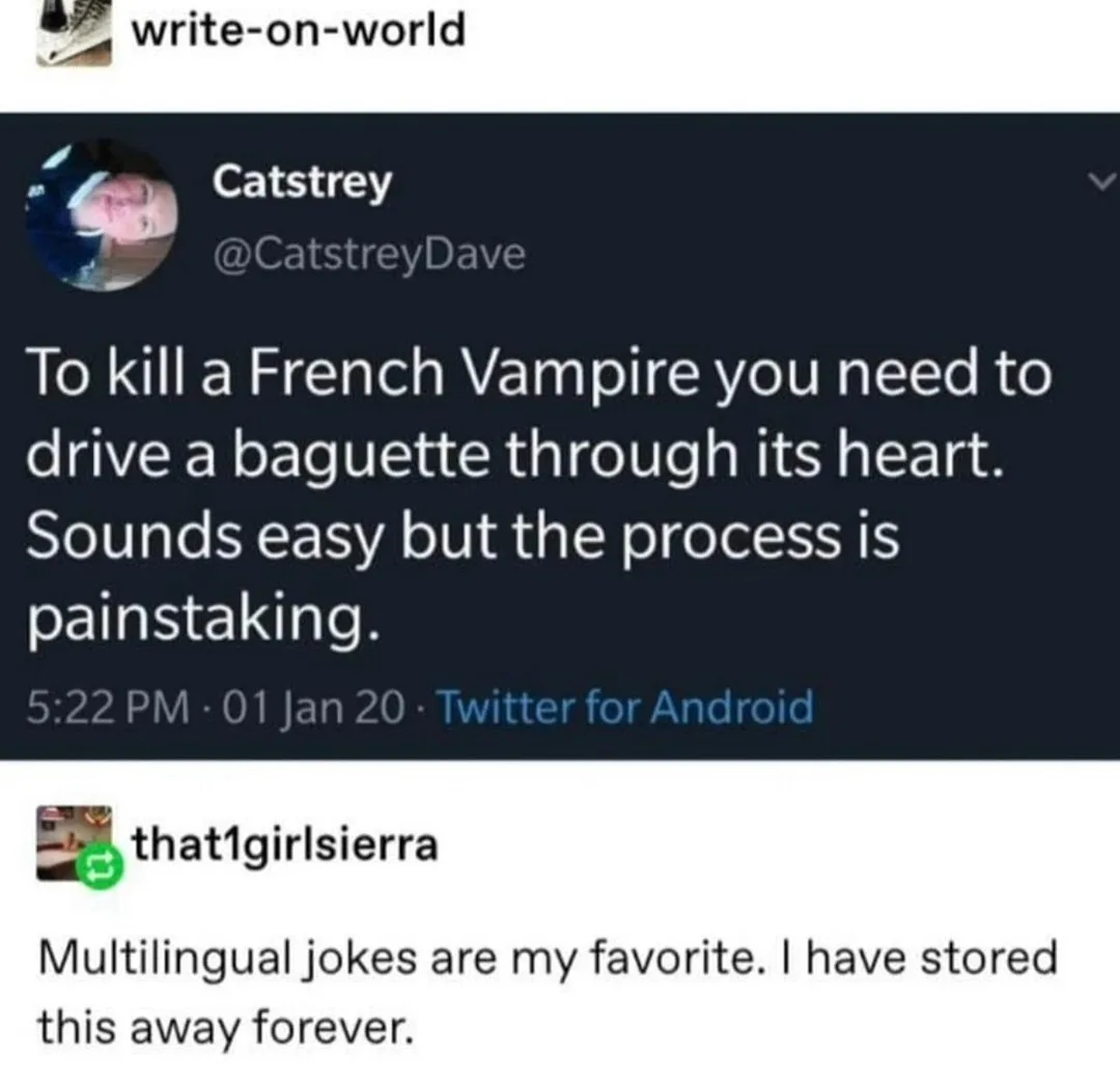 A screenshot of a Twitter thread shows a tweet from 'Catstrey' stating 'To kill a French Vampire you need to drive a…