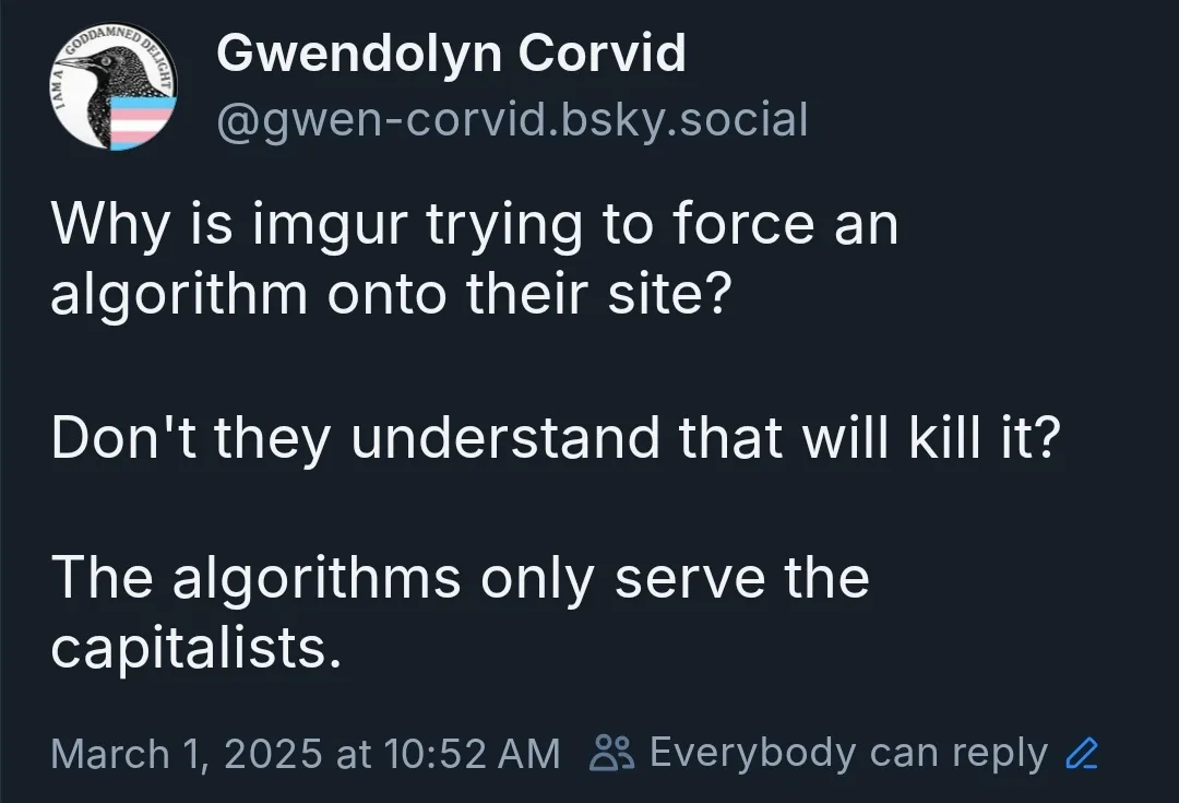 A screenshot of a post from a social media platform, showing a user named Gwendolyn Corvid with a bird avatar that has a…