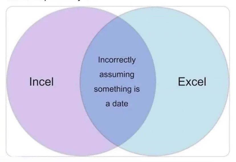 A Venn diagram with two overlapping circles labeled 'Incel' and 'Excel'. The overlapping section contains the text…