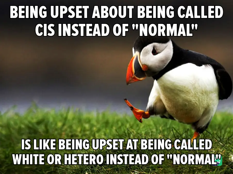 A photograph of a puffin standing on green grass, looking down with one foot lifted, overlaid with white text that reads…