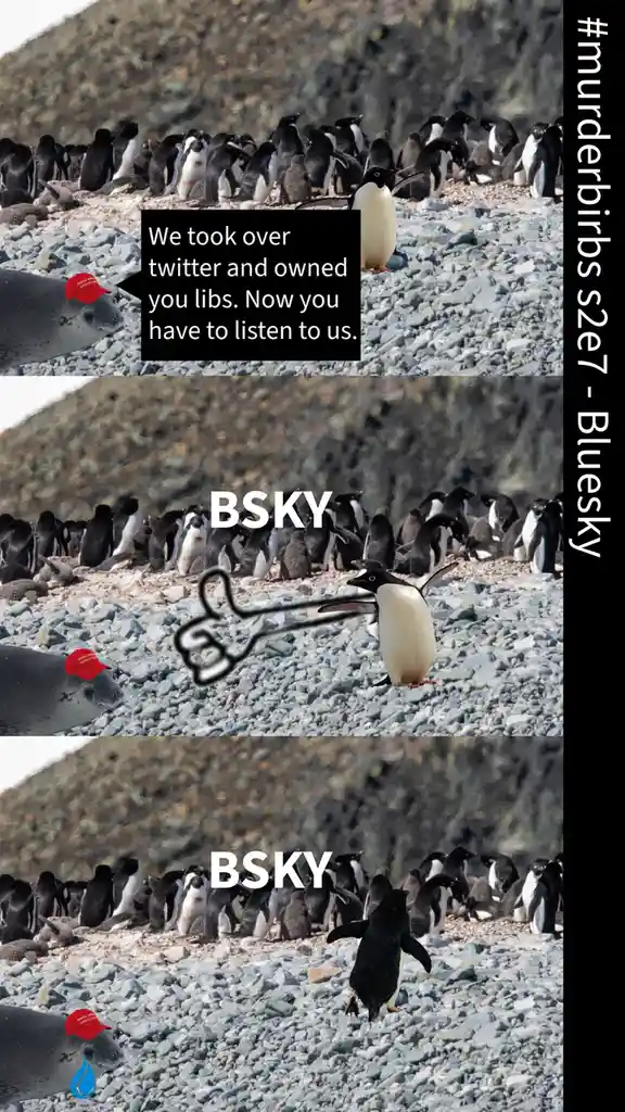 MurderBirbs Season 2 Episode 7: Bluesky Adventures