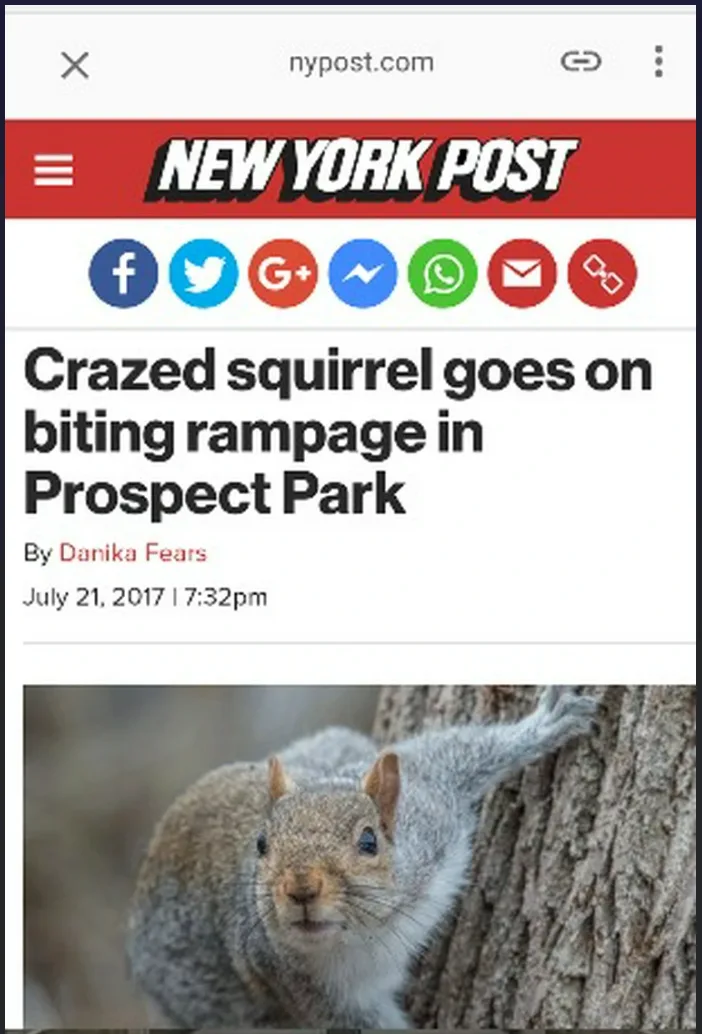 A screenshot of a New York Post article from July 21, 2017, featuring a photo of a gray squirrel clinging to a tree trunk…