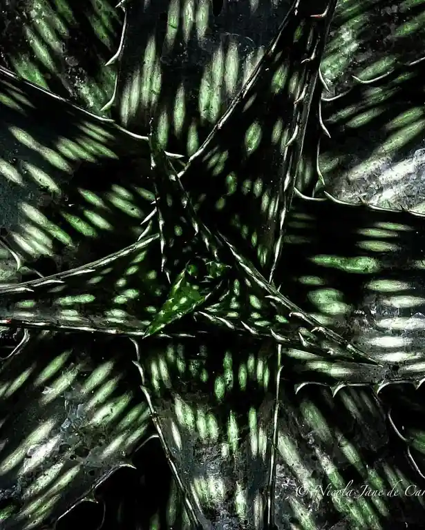 Exploring Intriguing Patterns