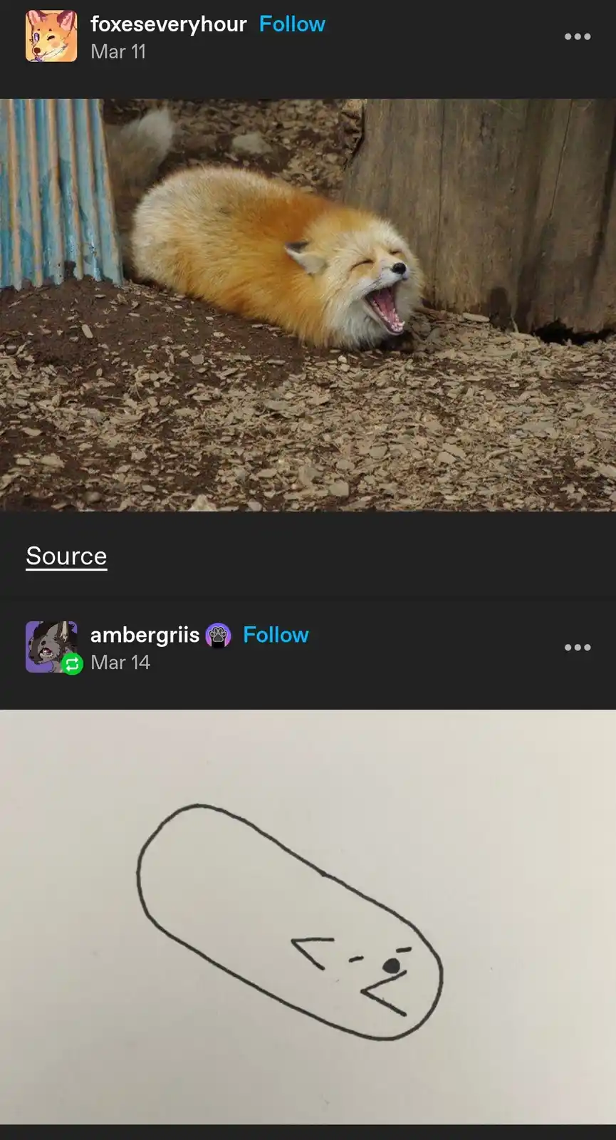 This looks just like him, doesn't it?