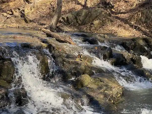 A natural stream flows over dark, wet rocks, creating white waterfalls and rapids. The background shows dry, leaf-covered…