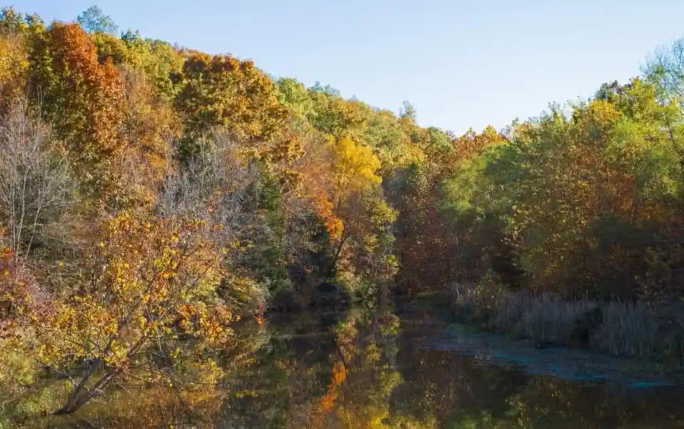 A serene autumn landscape with trees displaying vibrant orange, yellow, and green foliage reflected in a calm body of water…