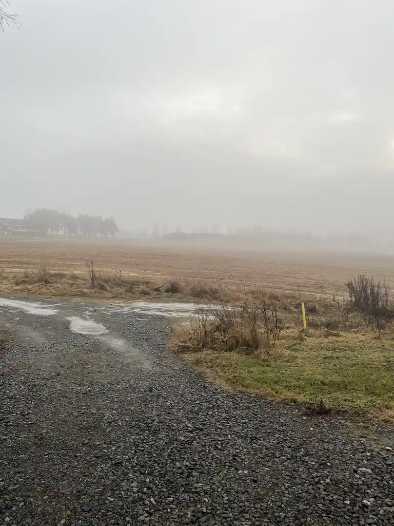 Where Did All the Snow Disappear To?