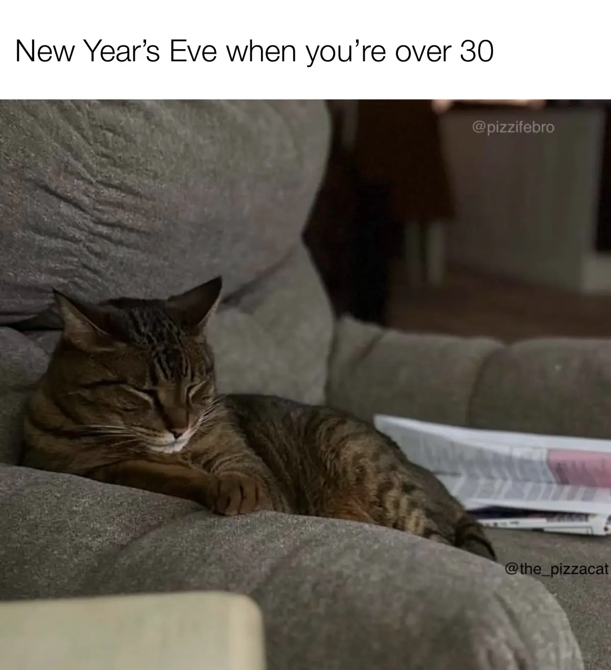 A brown tabby cat is curled up and sleeping soundly on a gray couch, with a newspaper or magazine lying nearby. The text…