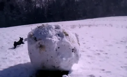 I heard you all enjoy snowballs, so here they come!